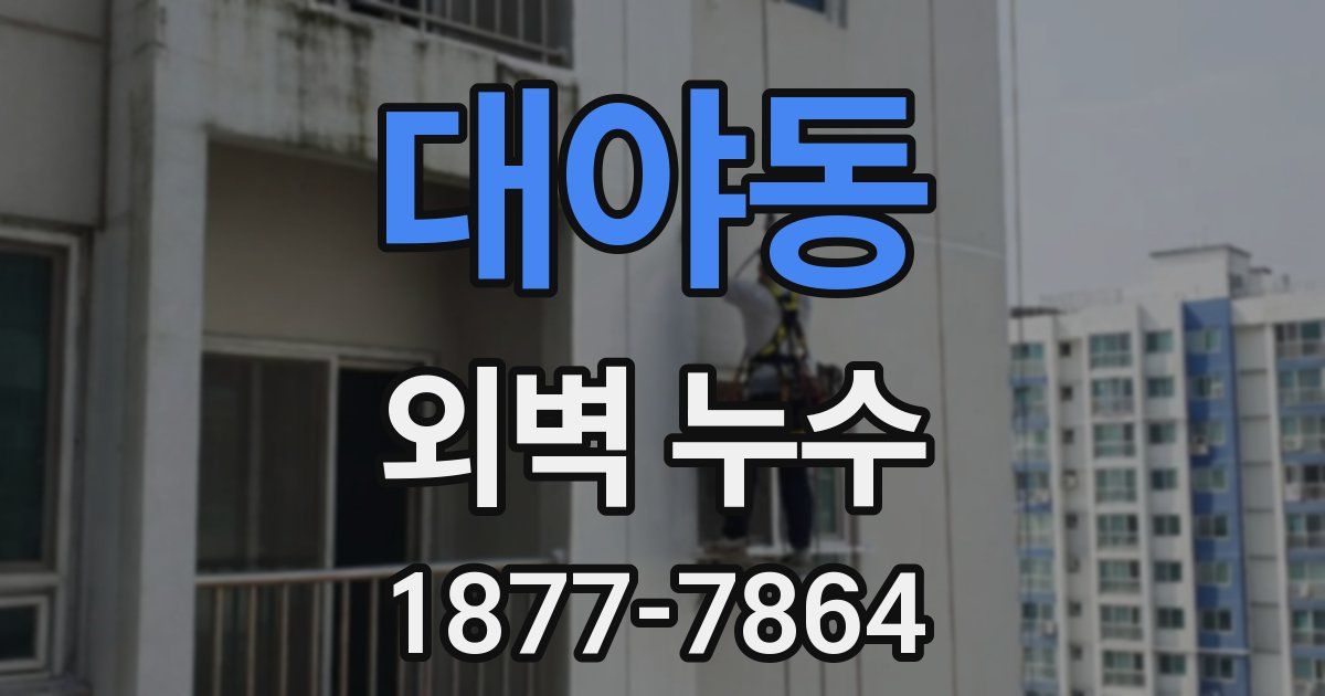 대야동 외벽 누수