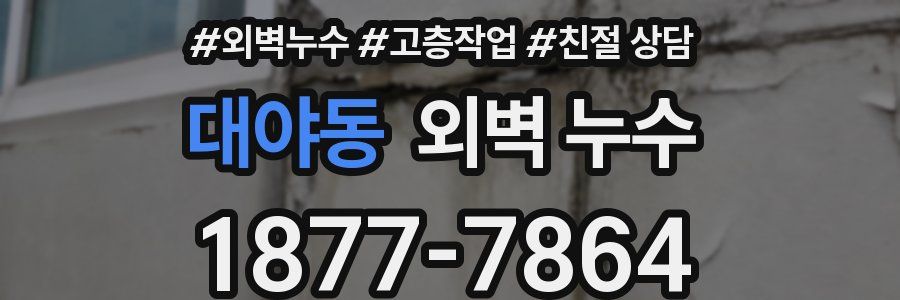대야동 외벽 누수