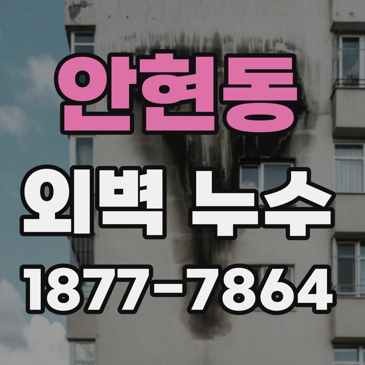 안현동 외벽 누수