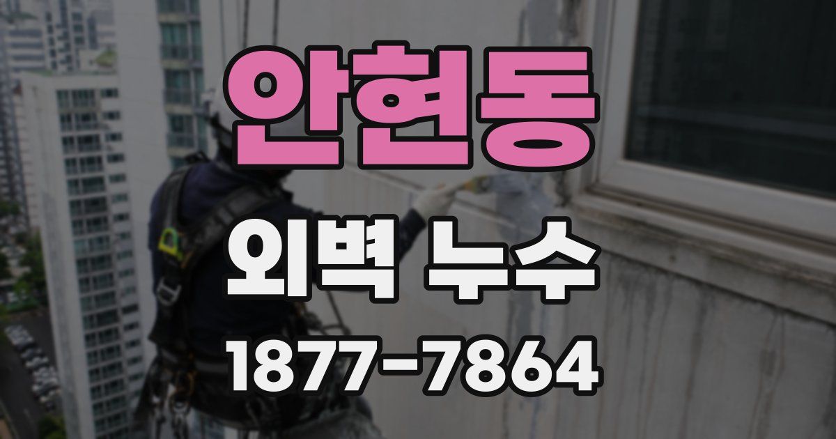 안현동 외벽 누수