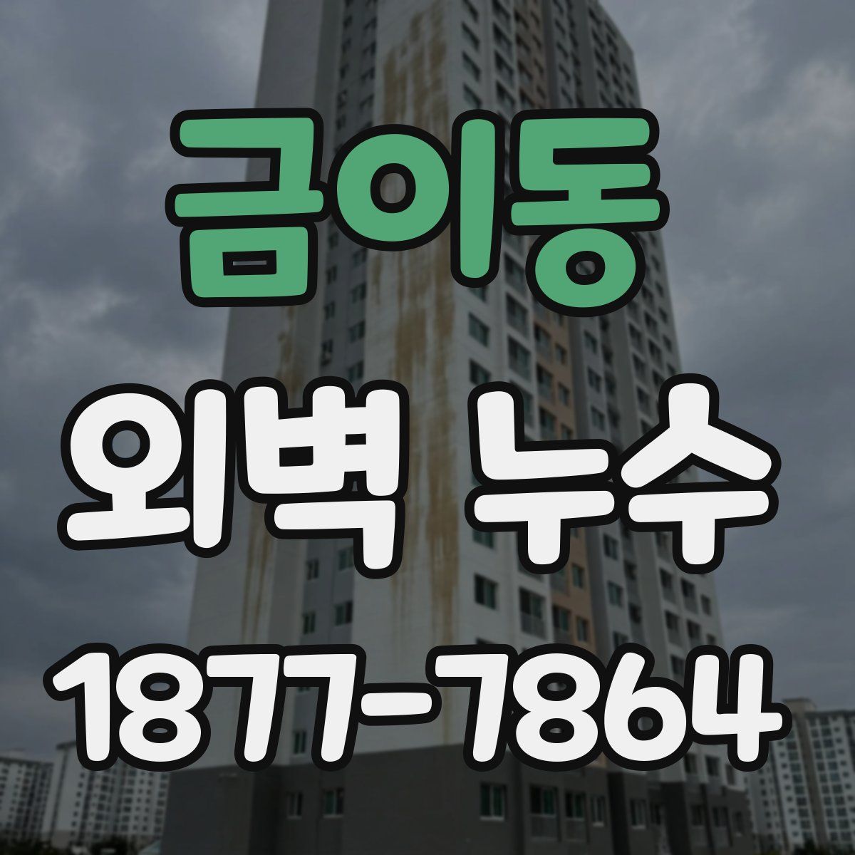 금이동 외벽 누수