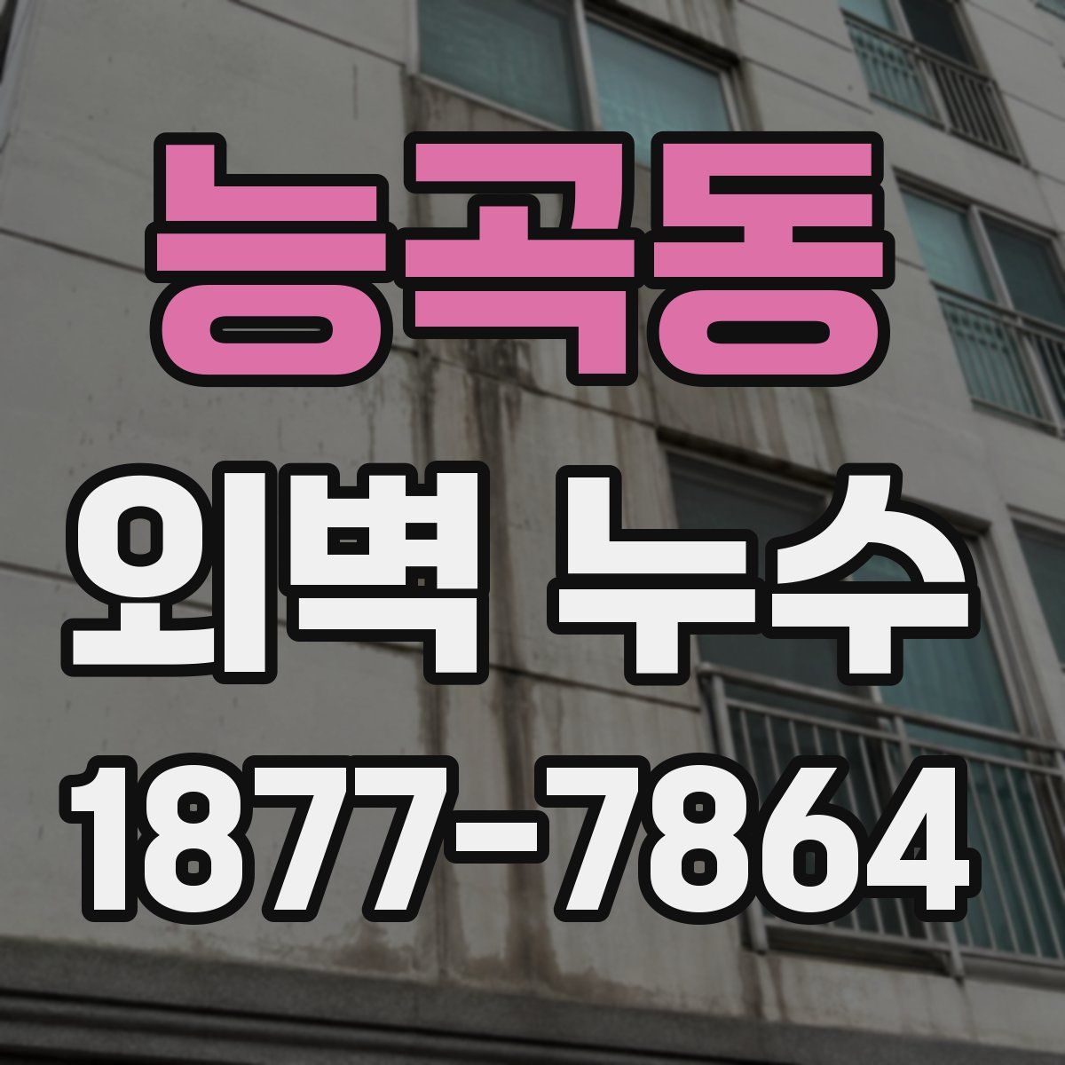 능곡동 외벽 누수