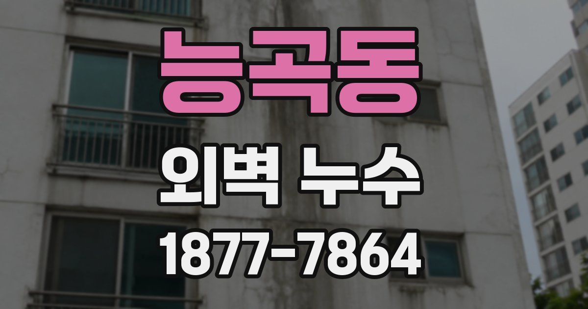 능곡동 외벽 누수