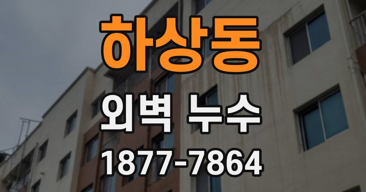하상동 외벽 누수