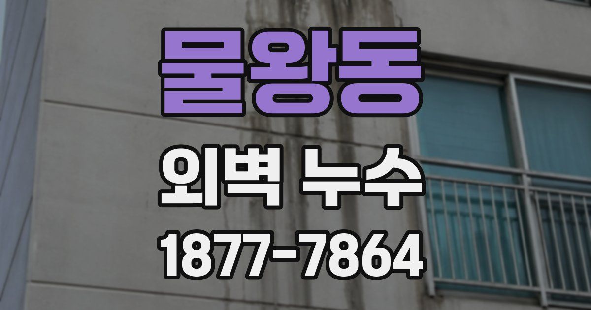 물왕동 외벽 누수