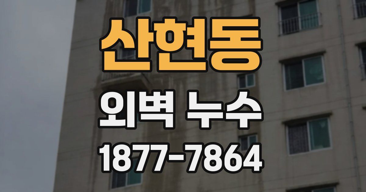 산현동 외벽 누수