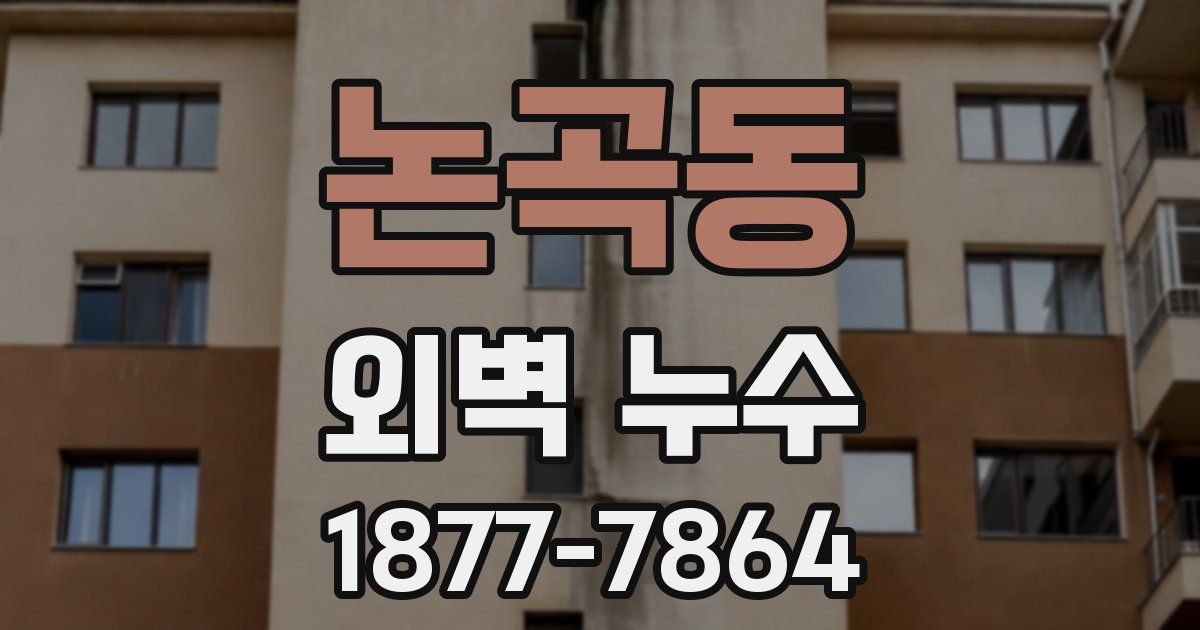 논곡동 외벽 누수