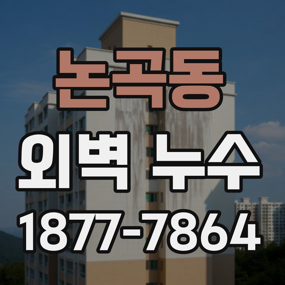 논곡동 외벽 누수