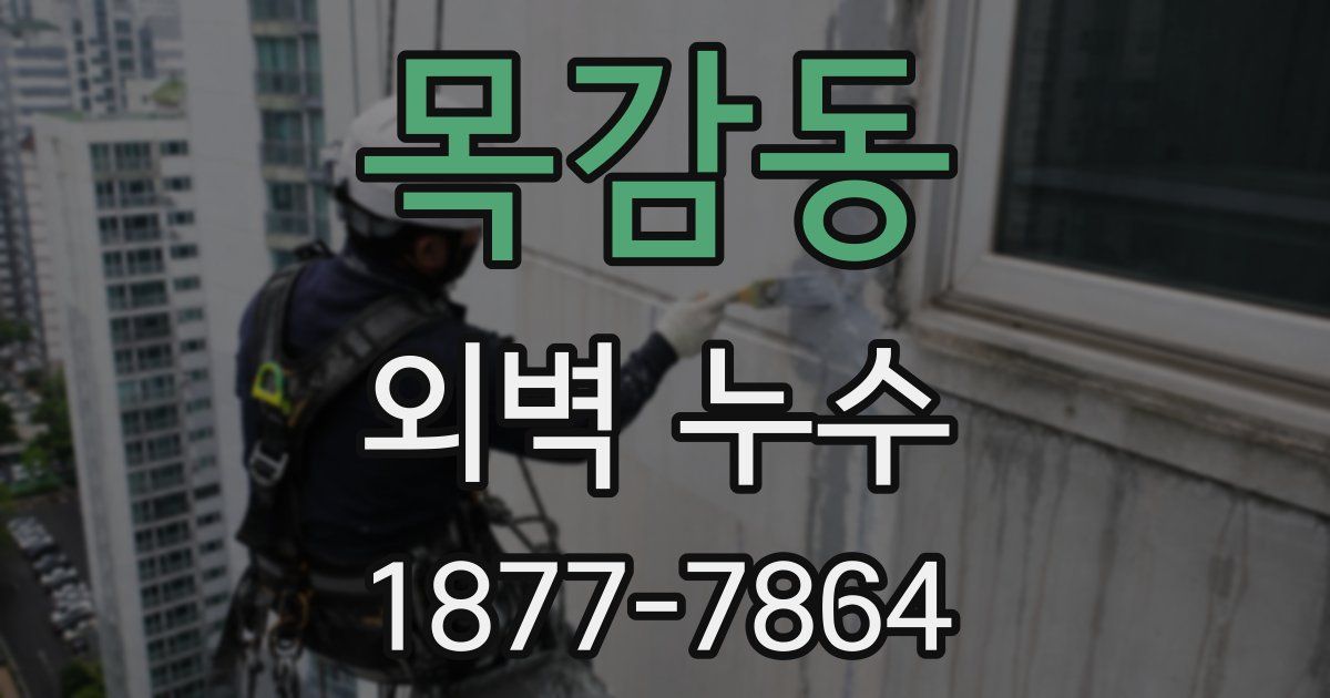 목감동 외벽 누수