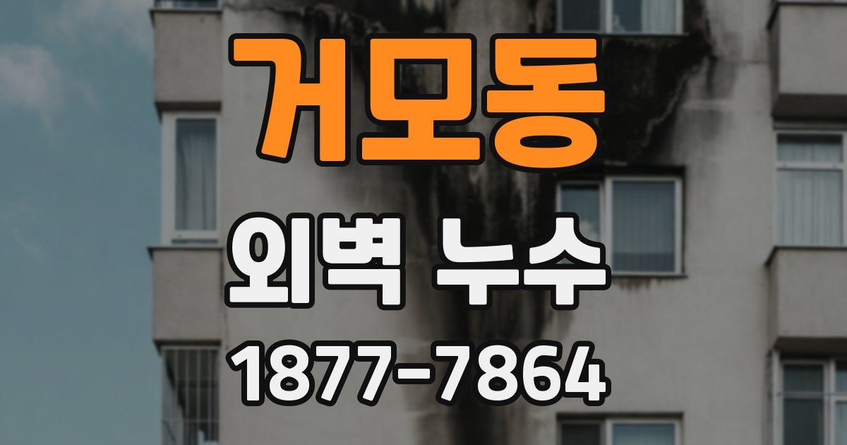 거모동 외벽 누수