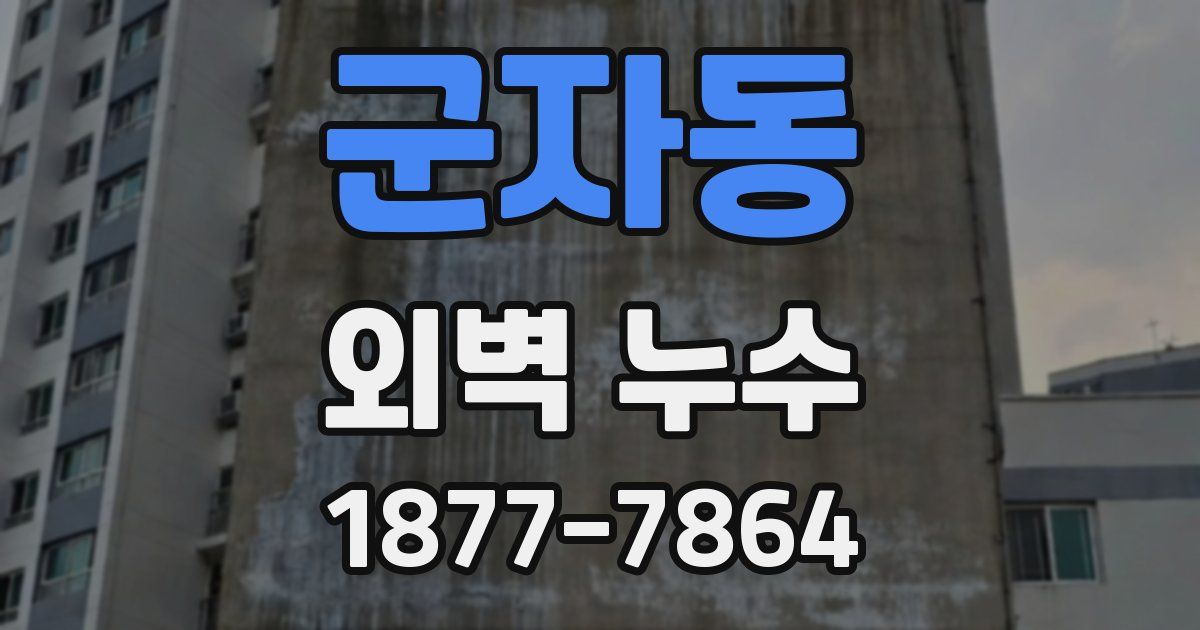 군자동 외벽 누수