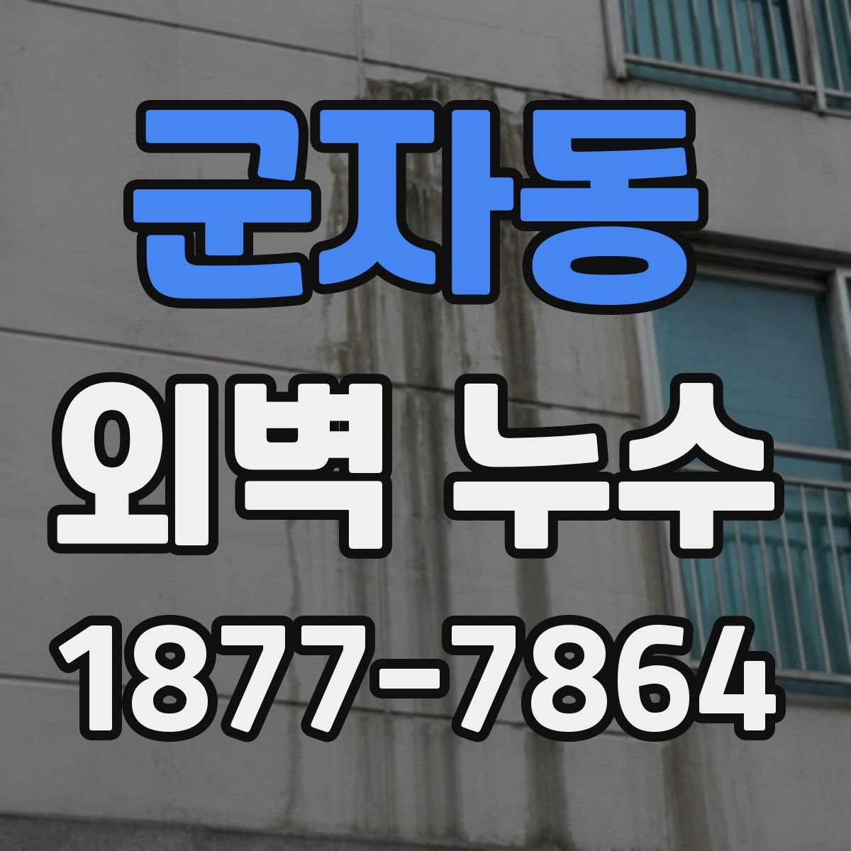 군자동 외벽 누수