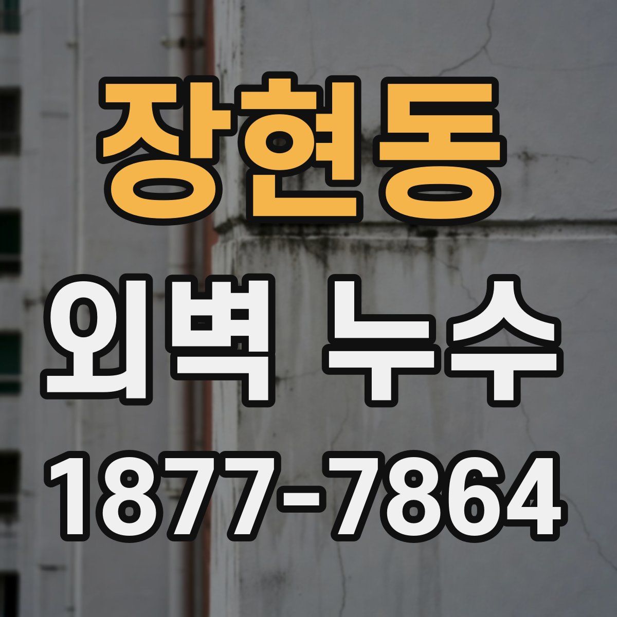 장현동 외벽 누수