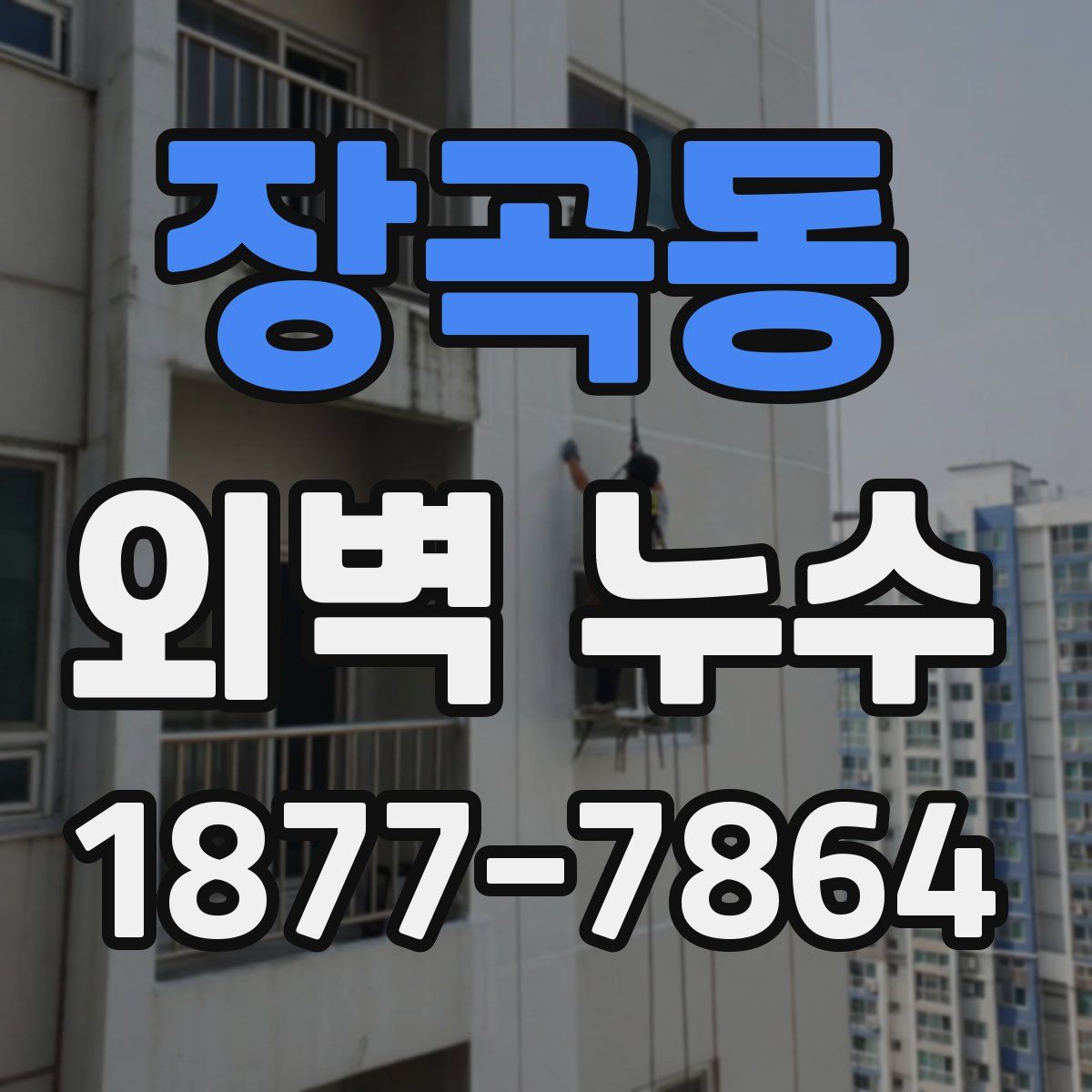 장곡동 외벽 누수