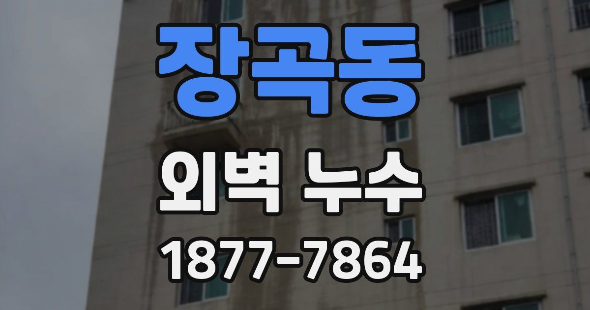 장곡동 외벽 누수