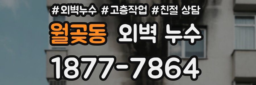 월곶동 외벽 누수