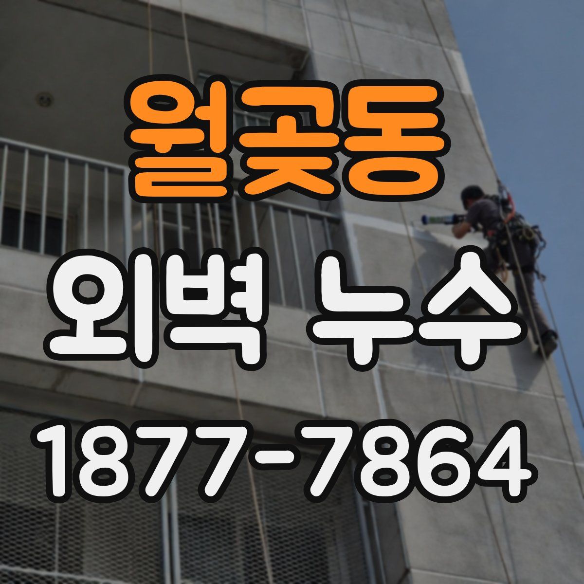 월곶동 외벽 누수