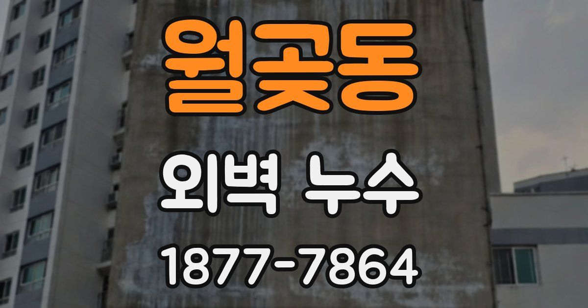 월곶동 외벽 누수