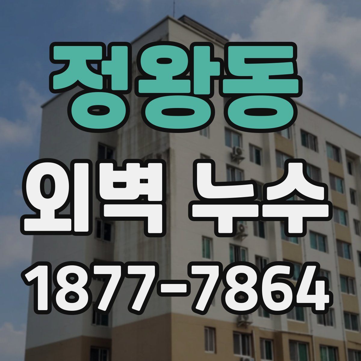 정왕동 외벽 누수