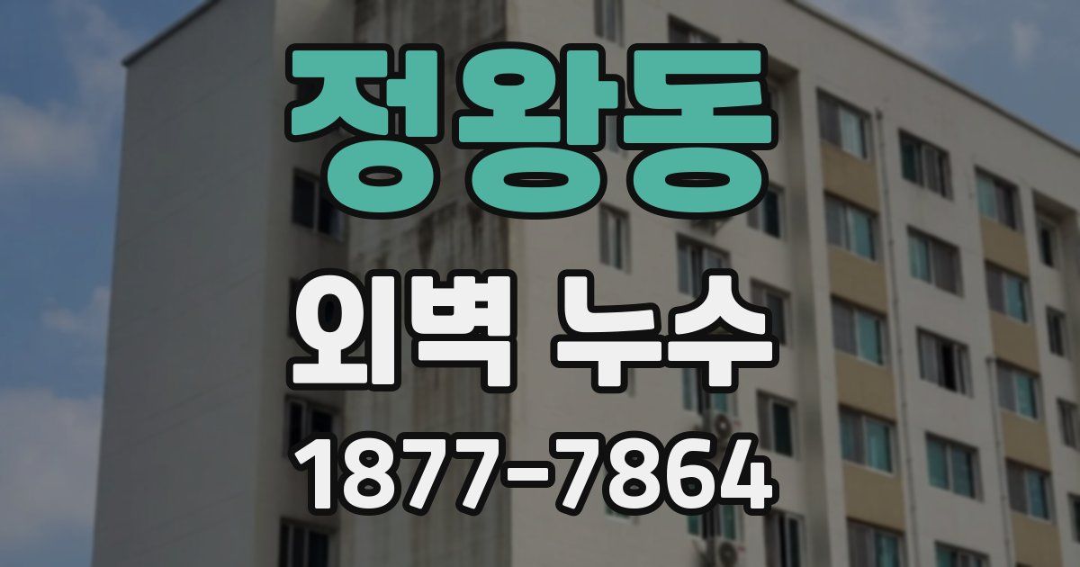 정왕동 외벽 누수
