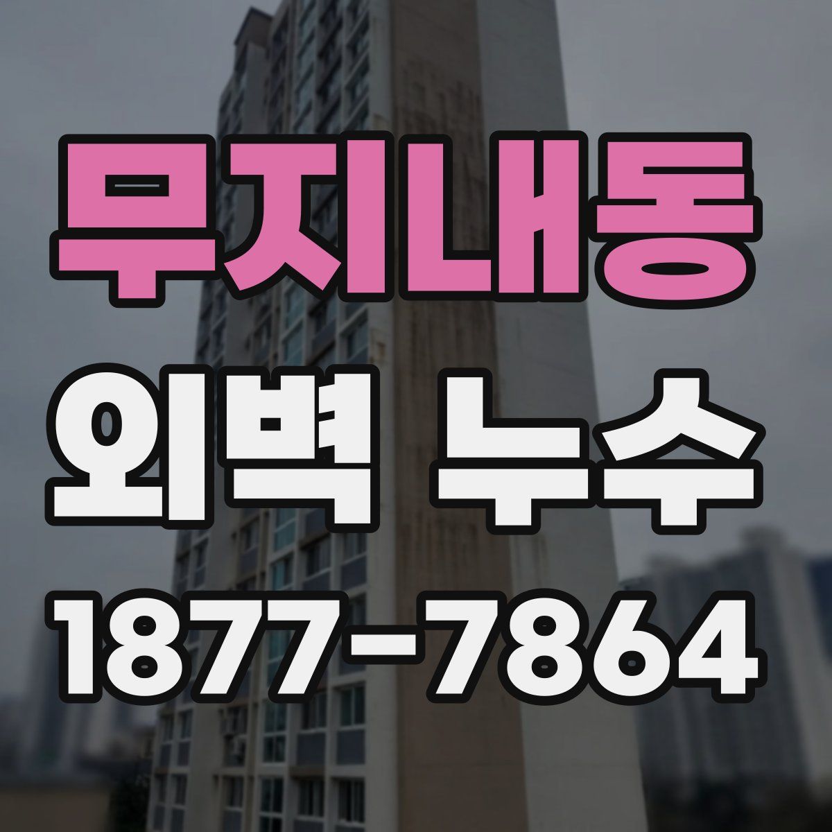 무지내동 외벽 누수