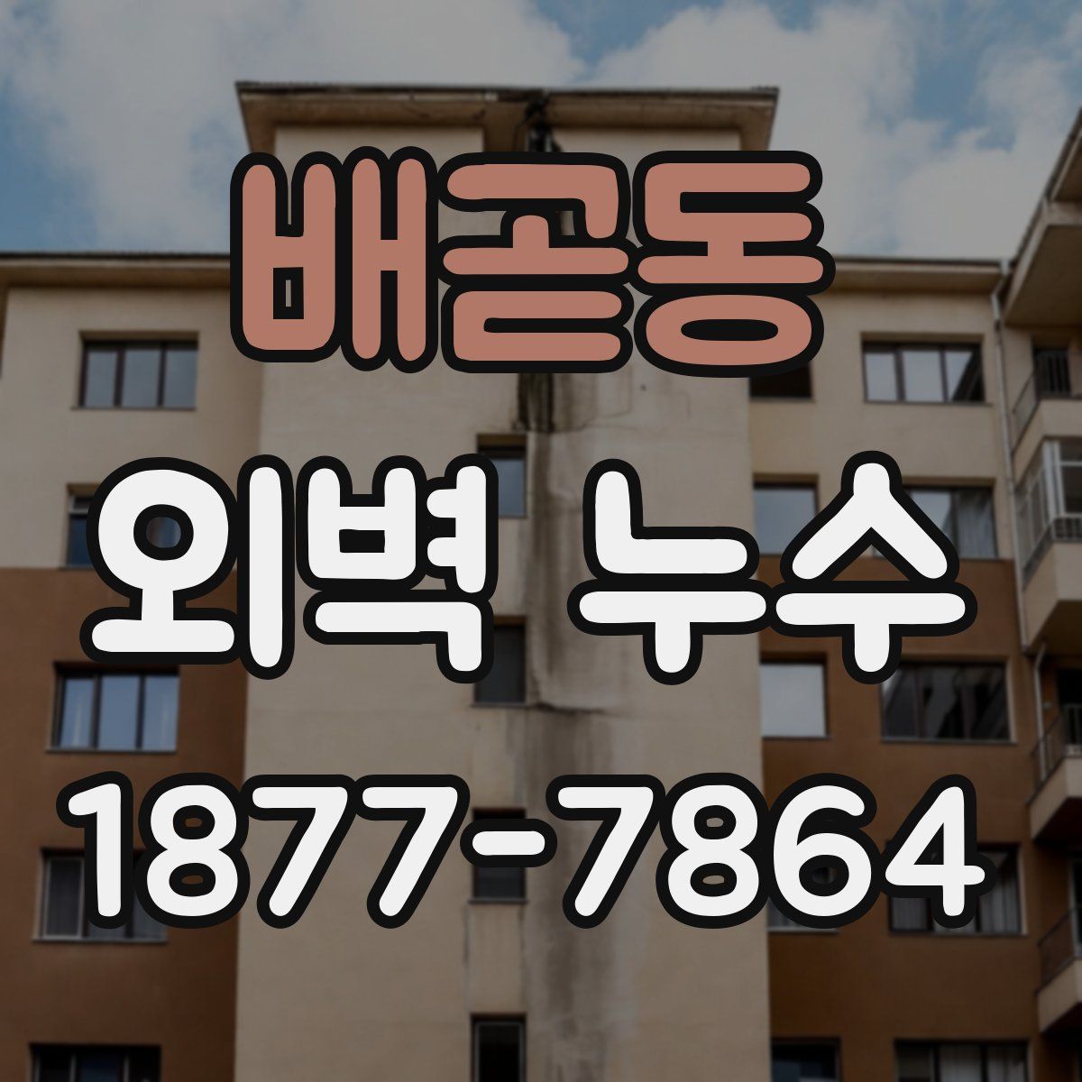 배곧동 외벽 누수