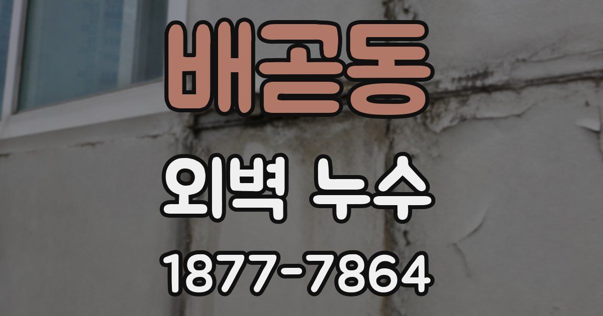 배곧동 외벽 누수