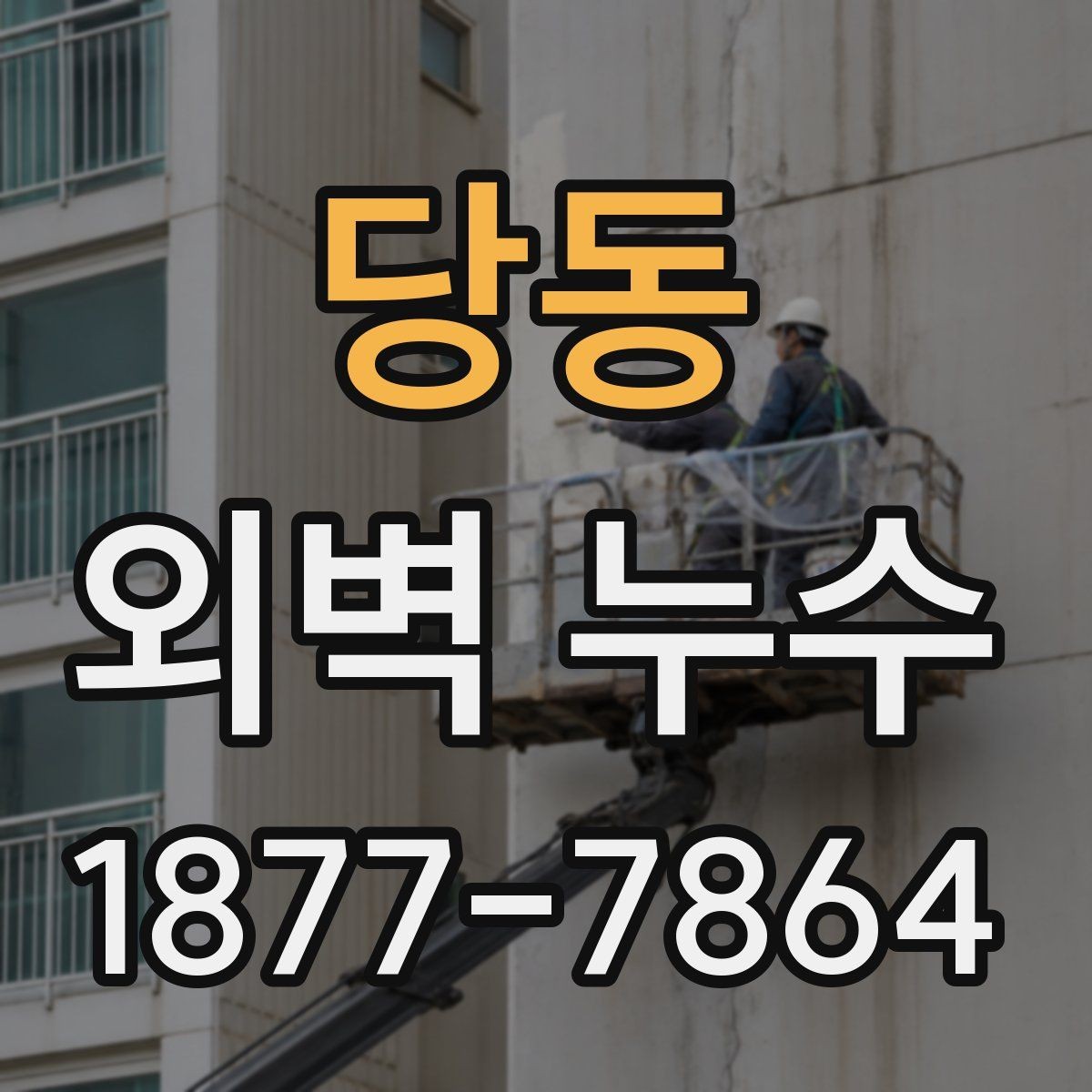 당동 외벽 누수 발생 위치별 확인 사항