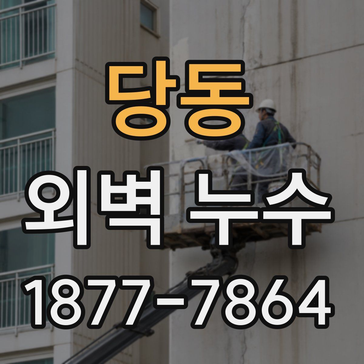 당동 외벽 누수
