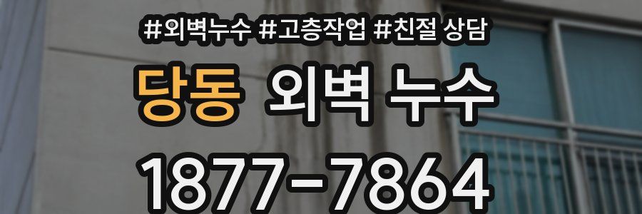 당동 외벽 누수