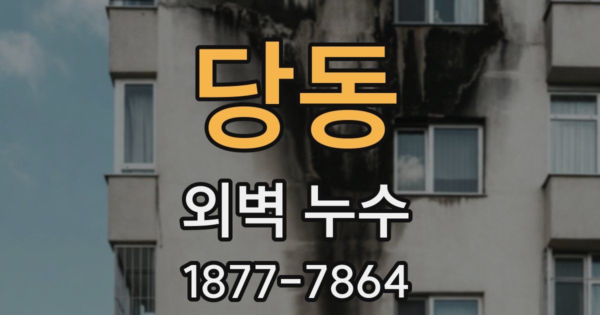 당동 외벽 누수