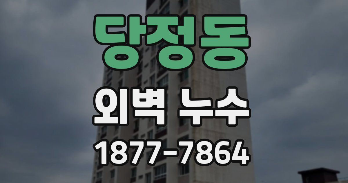 당정동 외벽 누수