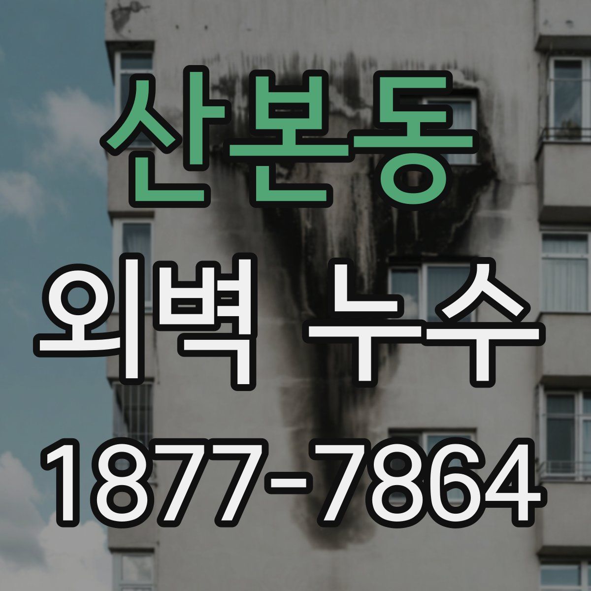 산본동 외벽 누수