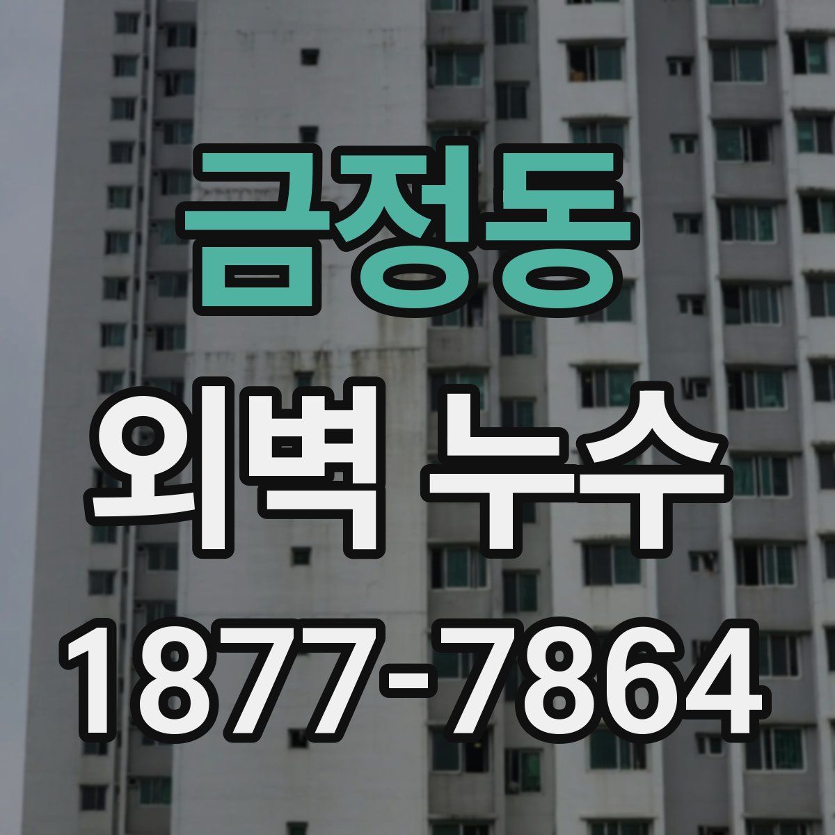 금정동 외벽 누수