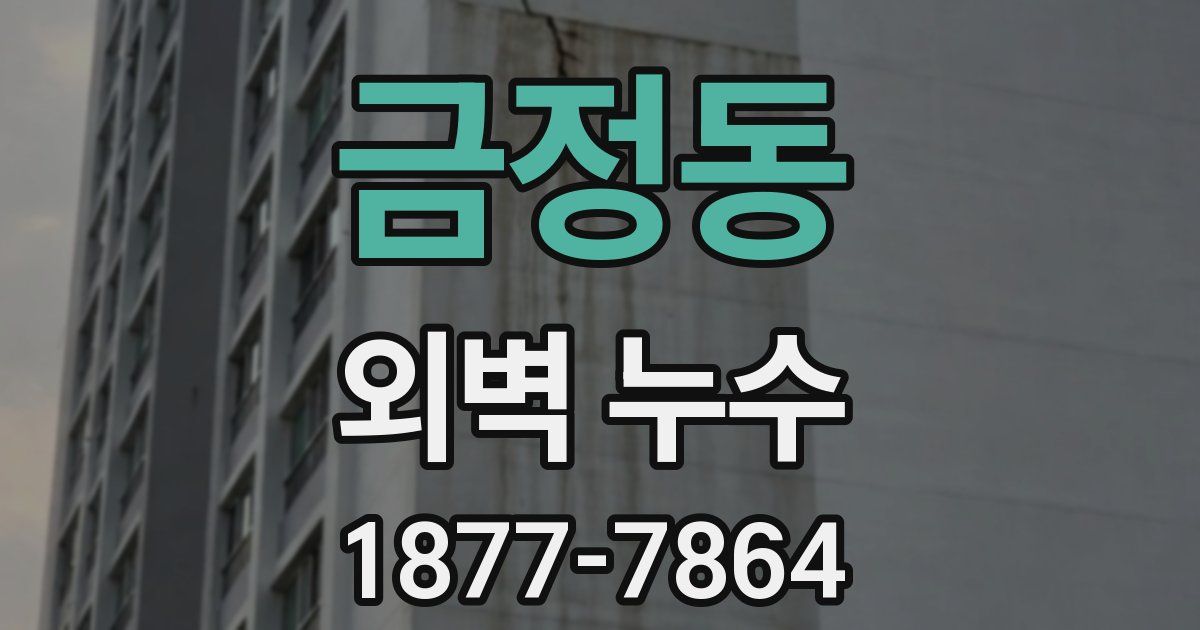 금정동 외벽 누수