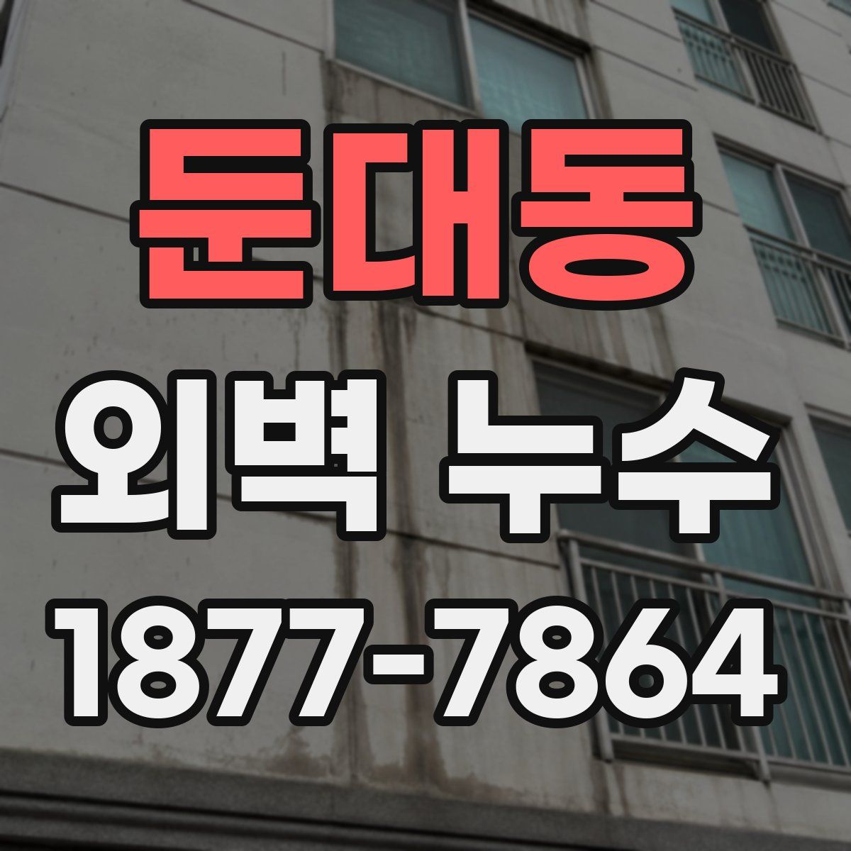 둔대동 외벽 누수