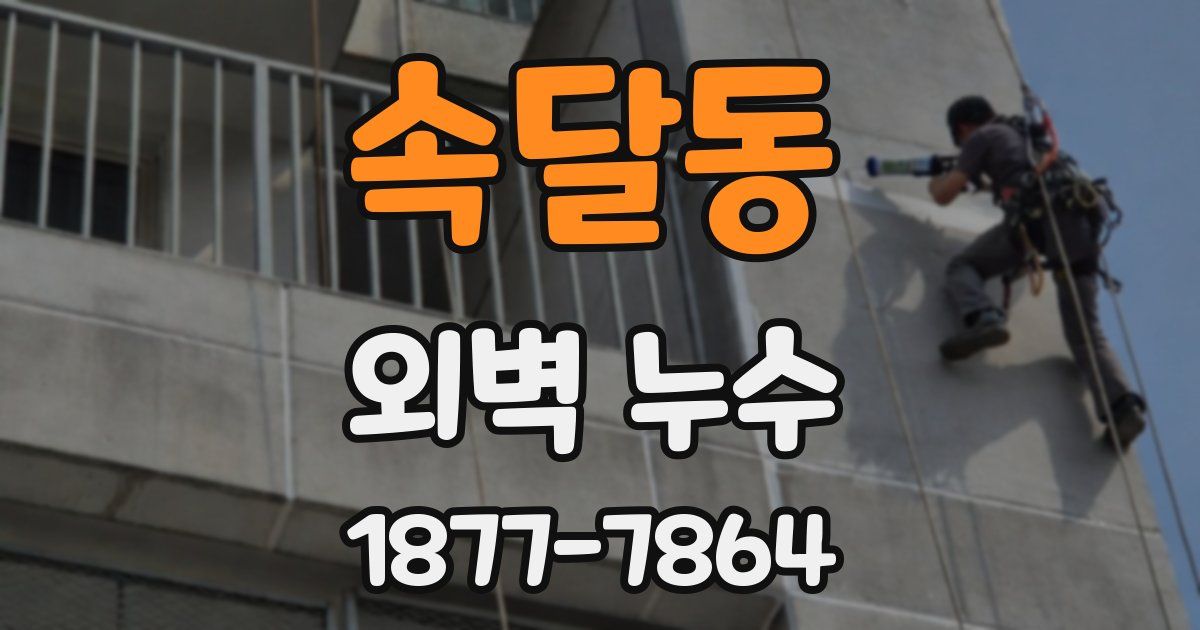 속달동 외벽 누수