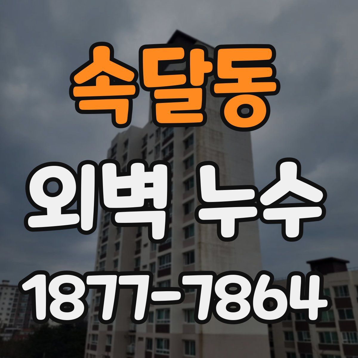 속달동 외벽 누수