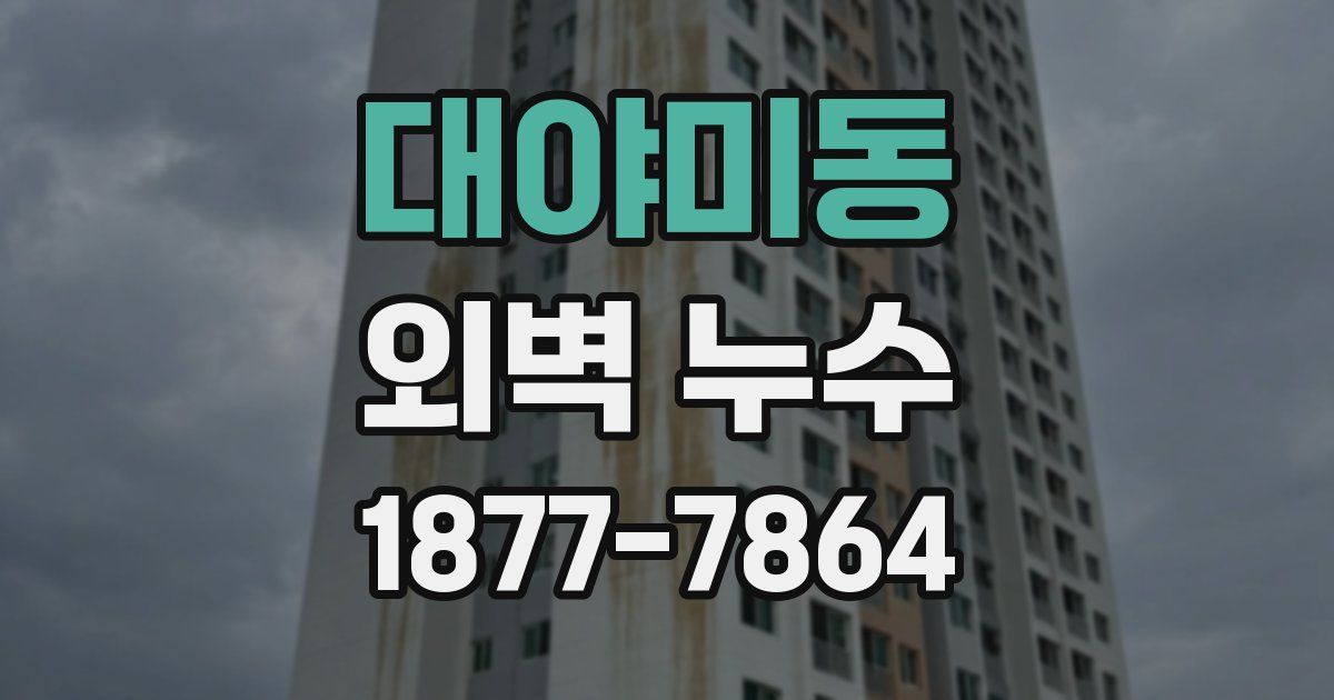 대야미동 외벽 누수