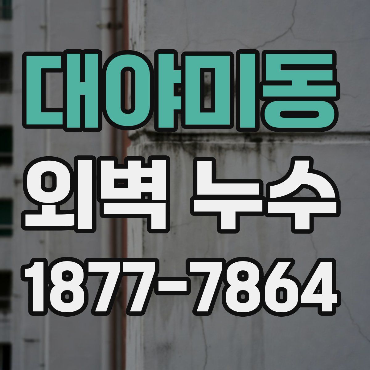 대야미동 외벽 누수