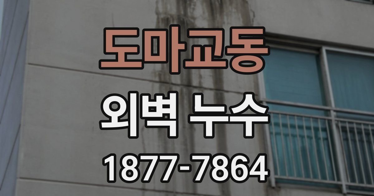 도마교동 외벽 누수