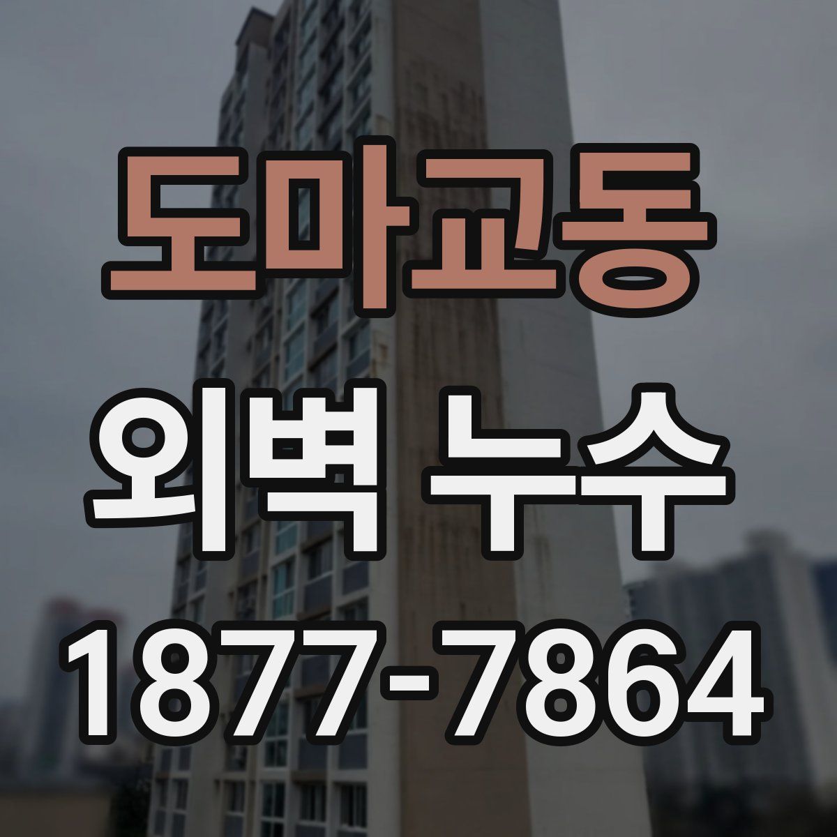 도마교동 외벽 누수