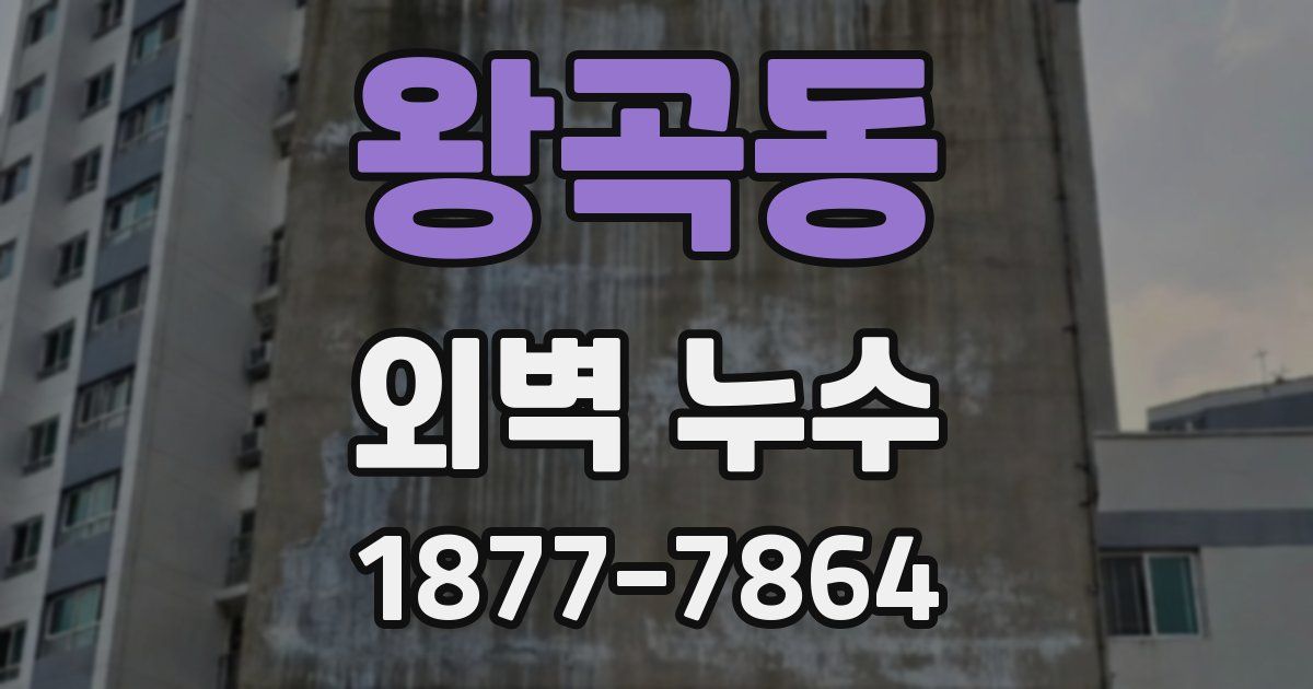 왕곡동 외벽 누수