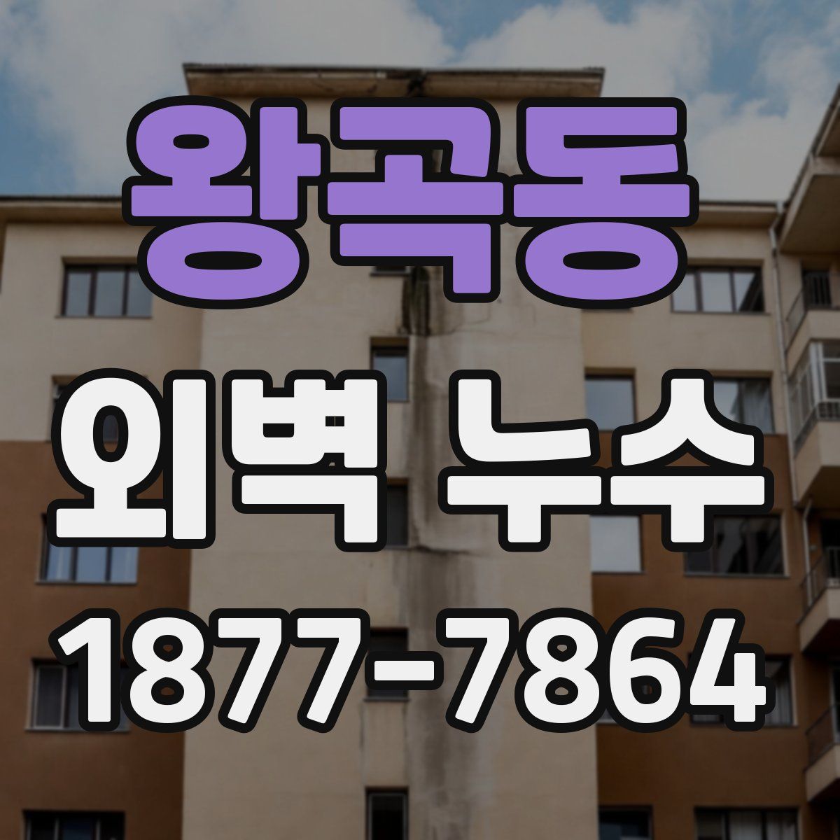 왕곡동 외벽 누수