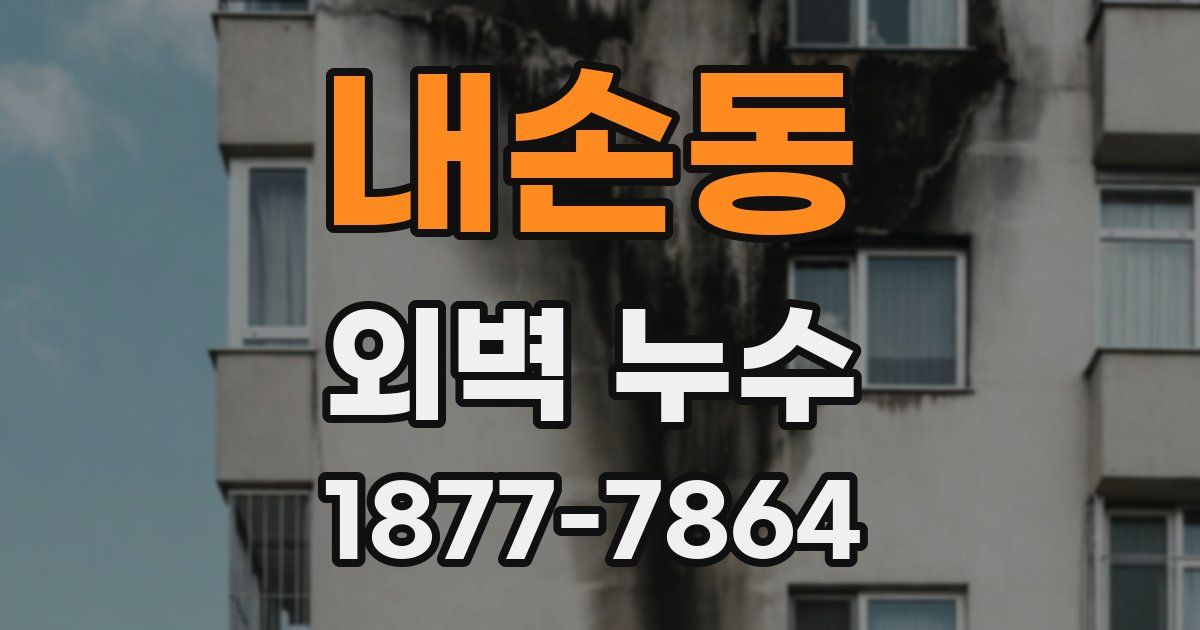 내손동 외벽 누수