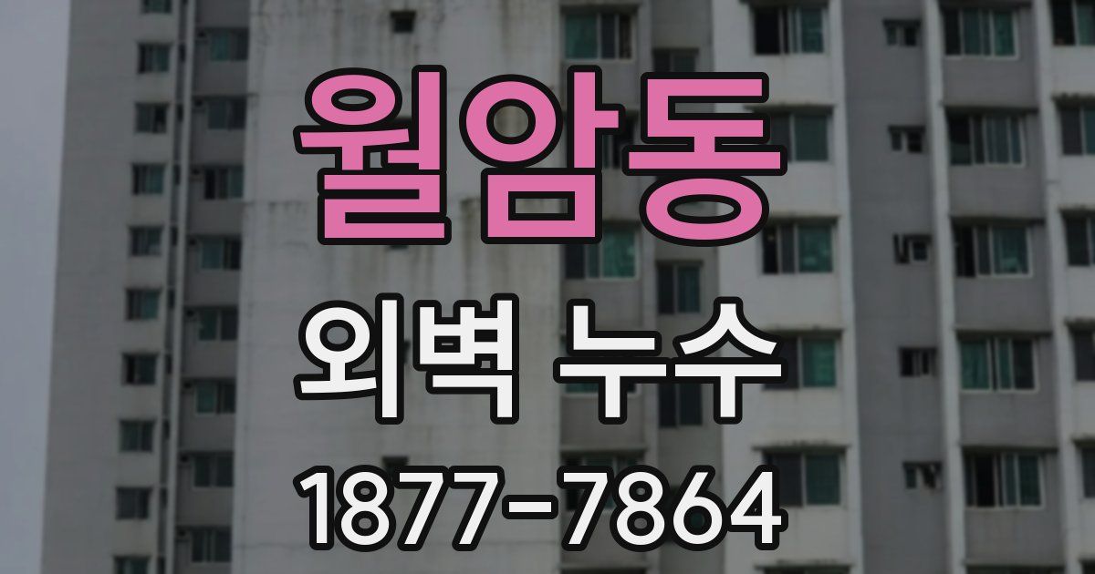월암동 외벽 누수