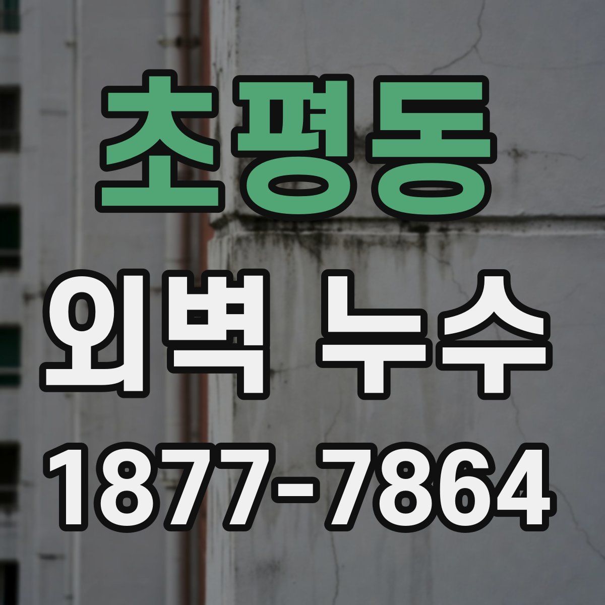 초평동 외벽 누수