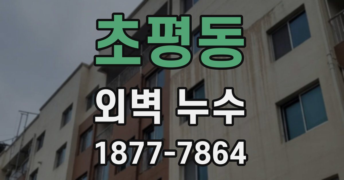 초평동 외벽 누수