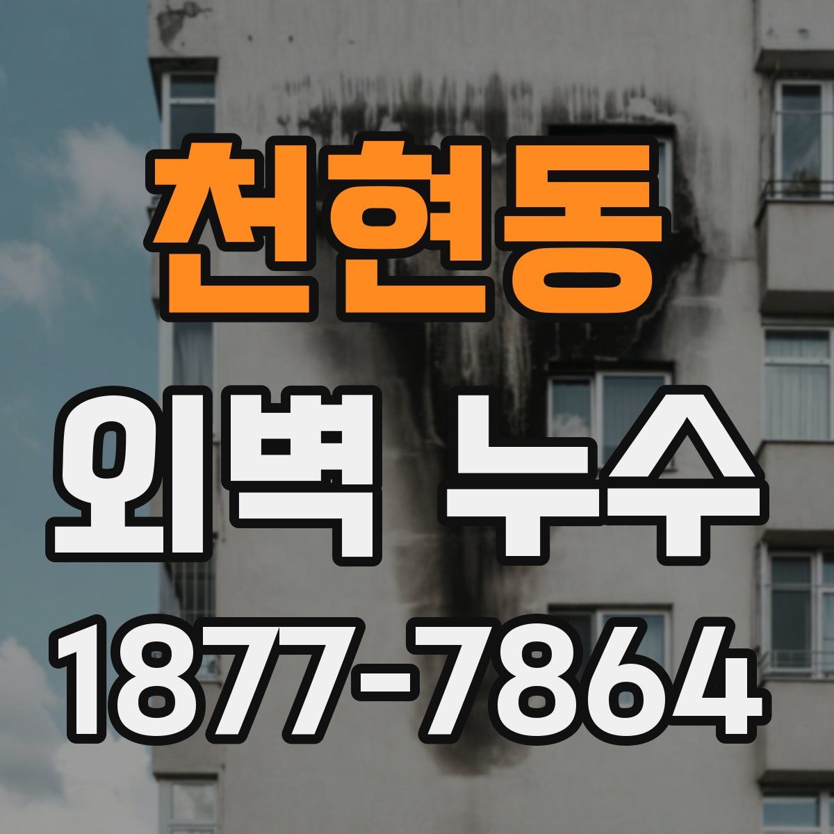 천현동 외벽 누수
