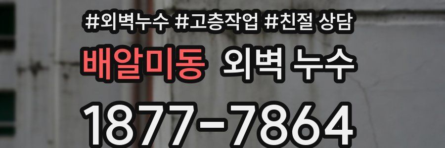 배알미동 외벽 누수